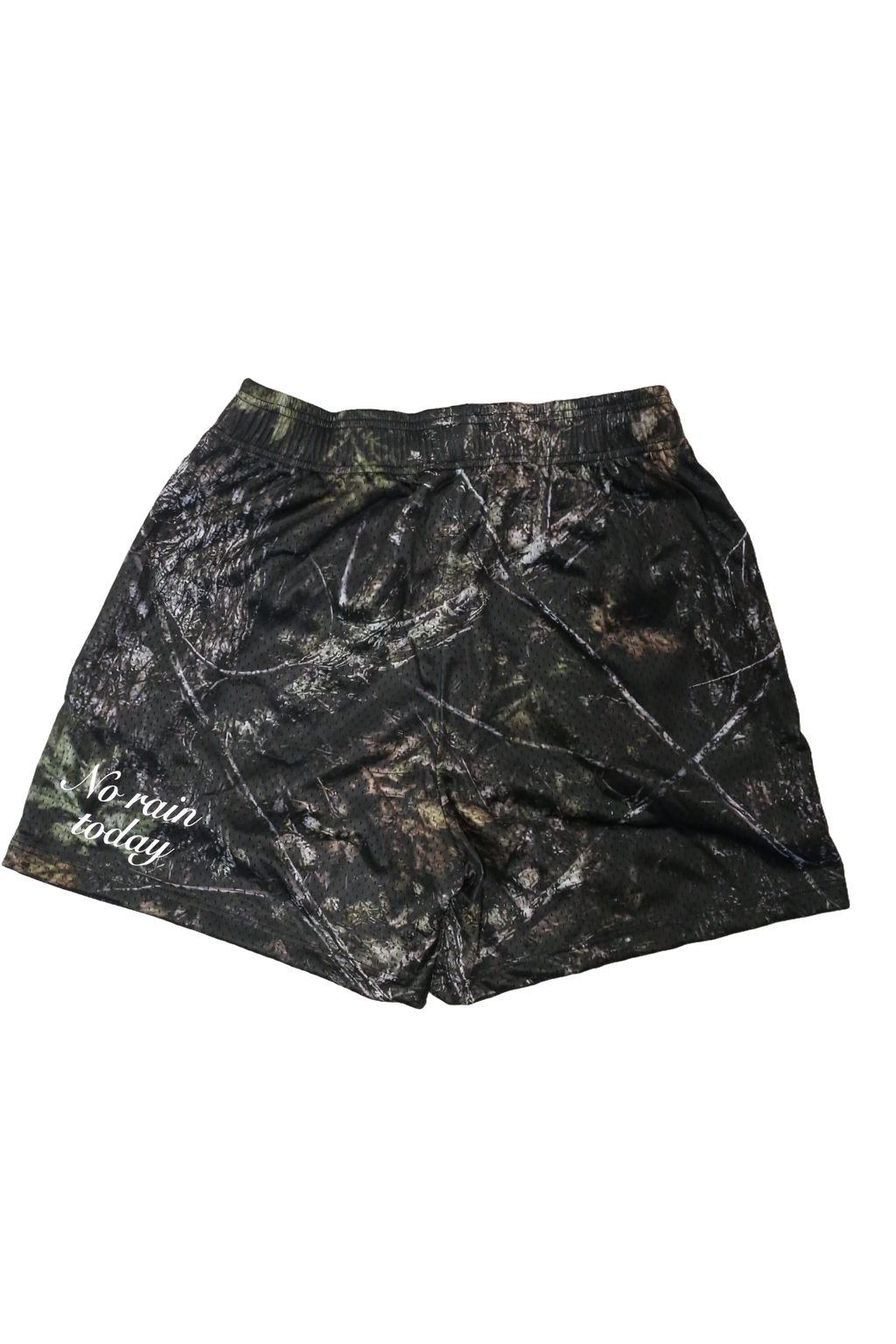 LOGO Mesh Shorts (Dark Forest)