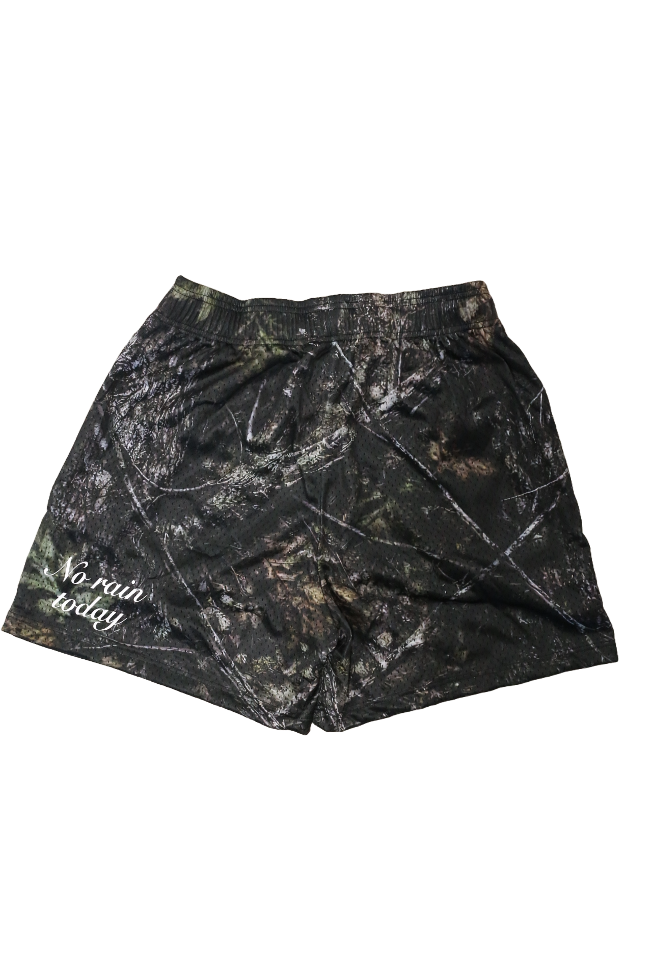LOGO Mesh Shorts (Dark Forest)